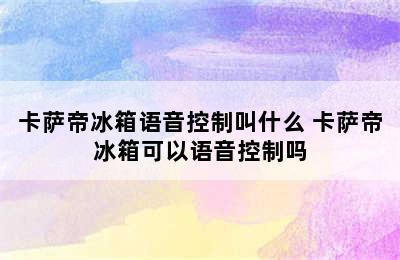 卡萨帝冰箱语音控制叫什么 卡萨帝冰箱可以语音控制吗